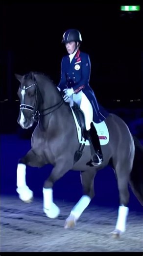 A tribute to Valegro. Thank you. Read description!