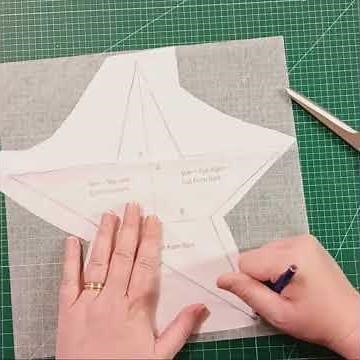 Texas Quilt Block ⭐ Appliqué Star | 50 States Quilt Series #quilting #quilted