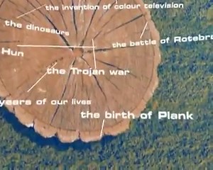 My best friend plank...... | Enigma Productions