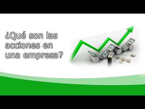 What are company shares?