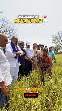 వడగాళ్ల వాన ⛈️🌾💔.#🌾 #youtubeshorts #farmer #farmersproblem #love farmer #telangana #telugusongs