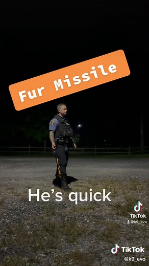#k9evo #furmissile #ZFlipClackdown #k9softiktok #4u #fyp #k9