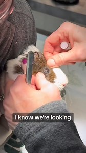 Her little crying omg | Life’s Heartwarming Tales