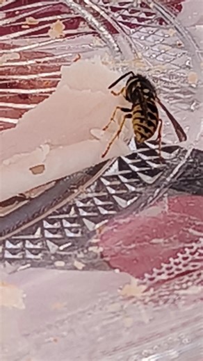 Videos de Manu Manei (@manumanei5) con “sonido original - Manu Manei”