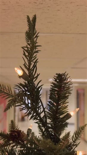 Merry Christmas Lobos! 🐺🎄 Sul Ross State University, The Frontier University of Texas, Merry Christmas | Sul Ross State University