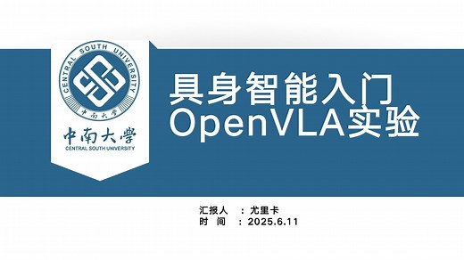 具身智能入门_OpenVLA复现
