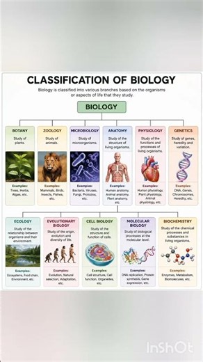 🌿 Classification of Biology | Branches of Biology in One Shot 📚✨