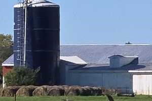 Fall brings bird flu risks: What poultry owners need to know