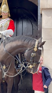 Money in the King’s Guard Boot 👢 Cute? Filmed today by me #kingsguard#horseguards #reelsviralシ | At Horse Guards