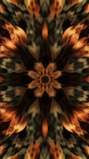 Insane Psychedelic Mandala 🌌 Hypnotic Color Evolution