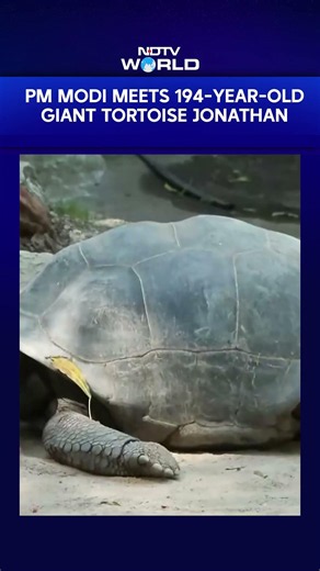 PM Modi Feeds Giant Tortoises During Seychelles Botanical Garden Visit