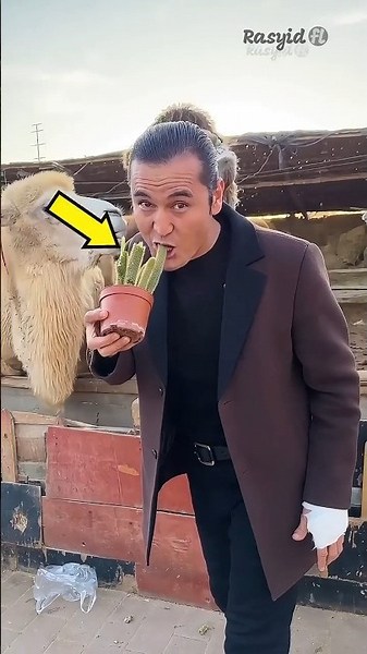 🌵😱 Why Do Some People Like Eating Cactus?