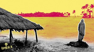 What is a 'climate refugee' and how many are there?