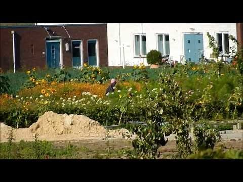 Nikon Coolpix s9500 Zoom tests & Photo examples [HD]