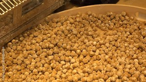 View of making TAPIOCA BALLS. It is for Taiwanese traditional drink, “BUBBLE TEA (also known as pearl milk tea, bubble milk tea, or boba)”.