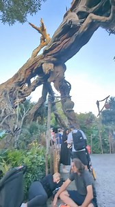 Welcome to the world of Avatar. #disney #orlando #orlandoflorida | Disney World Packages -Orlando Florida