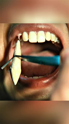 Ultimate Vampire Movie Recap of 2026