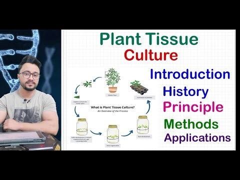 Plant Tissue Culture Lecture 1 || Unit-10 || ASRB NET Agricultural Biotechnology