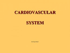 CARDIOVASCULAR SYSTEM - SlideServe