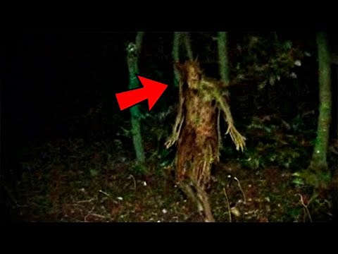 Scary Videos Compilation
