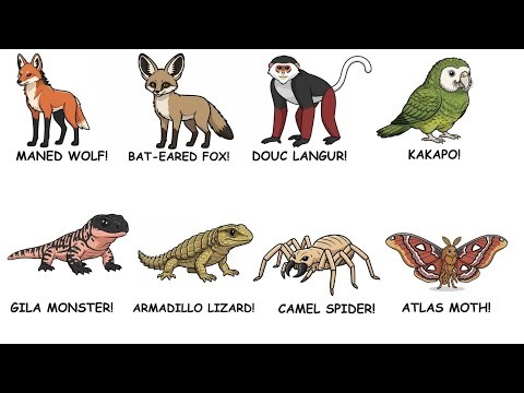 Animals That Look Unreal But Actually Exist | Strange Creatures Explained