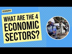 What are the Four Main Economic Sectors? | Geography Activity