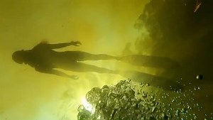 Pashence | The weather here in Florida has been so dreamy! The sun is shinning, the breeze is blowing, people are smiling, birds are chirping!! ☀️ 🌬... | Instagram