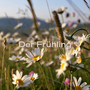 In Évian-Les-Bains laden längere Tag und milde Temperaturen zu Spaziergängen und Ausflügen in der Natur ein. Entdecke den Quellort unseres natürlichen Mineralwassers von seiner schönsten Seite.​ ​ Warst du schon mal dort?​ ​ #evian #frühling #evianwater #natur #ausflug #spaziergang | evian