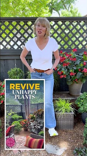 Plant Care with Linda Vater #garden #lindavater #home #lifestyle