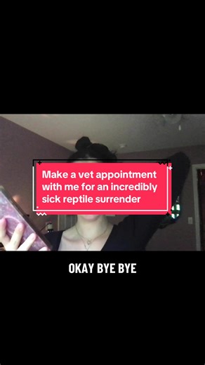 Caring for Yoshi: Scheduling a Vet Appointment