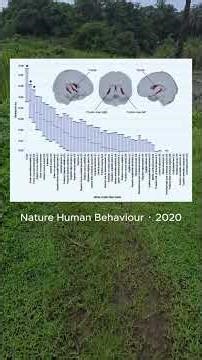 What a Study of 40,000 Brain Scans Reveals About Loneliness