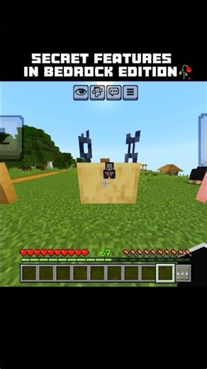 Minecraft Secret Features🤫🙃//#shorts #minecraftshorts #vecna #tweening #montagem //