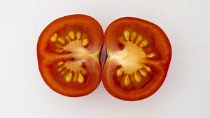 Rotting Tomato On White Background Time 库存影片视频（100% 免版税）1072221431 | Shutterstock