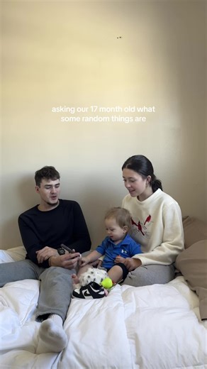 Learning with Bobby: Identifying Everyday Objects