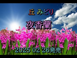 丘 みどり 夜香蘭 2025 02 26発売
