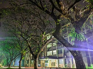 Night X SUST | SUST Insiders