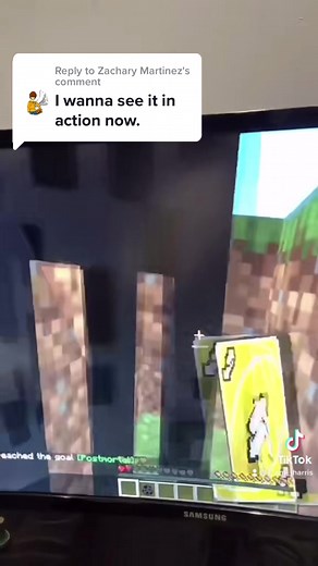 Join InsanityCraft Server for Java and Bedrock | IP: fun.insanitycraft.net