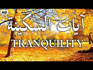 آيات السكينة لدفع القلق والهموم😌🎧 قران كريم بصوت جميل جدا جدا | AYAT OF TRANQUILITY - SAKINAH