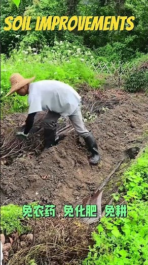 Soil Ecological Improvement and Sustainable Development