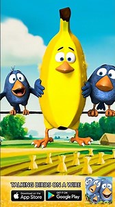 He got pranked but actually LOVED his new look! 🕺✨ Talking Birds On A Wire Game