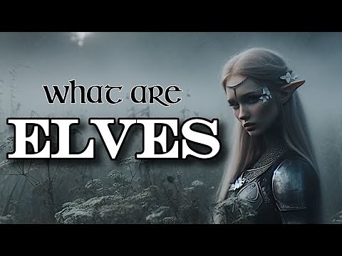 What are Elves?