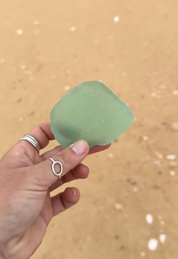 🩵🩵🩵🩵🩵🩵🩵 #shells #peaceful #beach #beachvibes #seaglass #cowrie #cowrieshells #holidays #beachshells #beachshells #oceanjewellery #jewellery #beachcombing #travel #beachday #gippsland #shell #beachcomber
