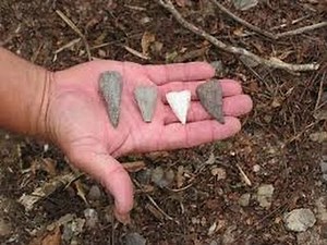 Aboriginal artifacts discovered near Winnipeg's Forks