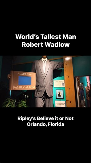 World’s Tallest Man Robert Wadlow at Ripley’s Believe it or Not in Orlando, Florida #waxfigure #museum #ripleysbelieveitornot | Freyzel Productions