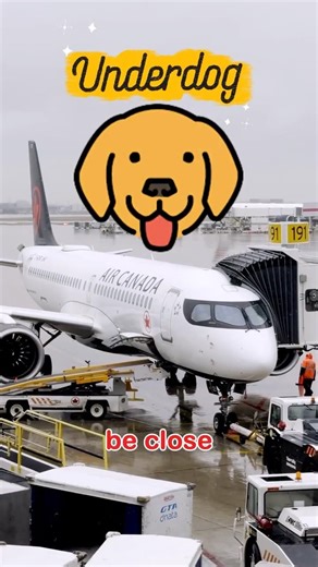 This ‘Underdog’ Airline Has a Secret Advantage