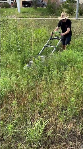 WAIST HIGH Grass VS ELECTRIC Push Mower