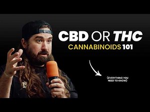 THC, CBD, CBG, CBN Explained | How to Use Cannabinoids the Right Way!