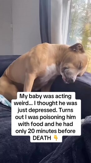 2.4K views · 3.2K reactions | I thought my baby was just acting a...