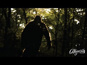 The Cherokee Search for Bigfoot