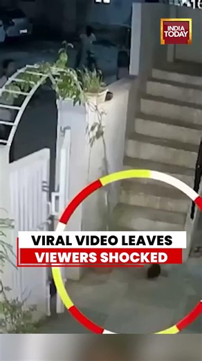 Viral Video Leaves Viewers Shocked After Baby Survival #viralvideo #shorts #ytshorts